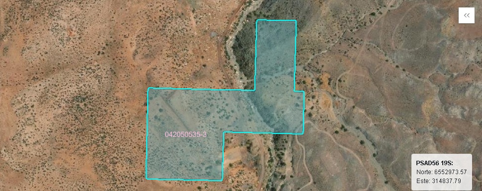 Concesión Guapa - Vista 3